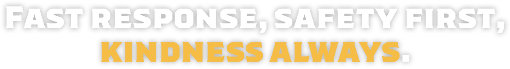 Fast Mold Cleanup and Remediation Services in Oviedo, Orlando, FL