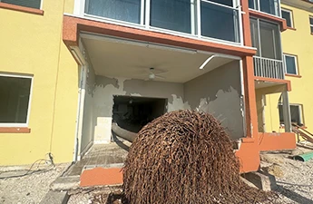 Storm Property Cleanup Services in Oviedo, Orlando, FL